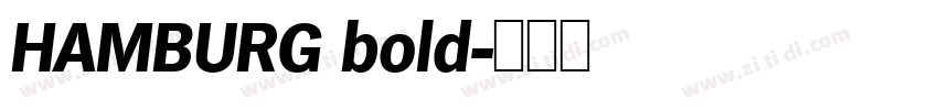 HAMBURG bold字体转换
